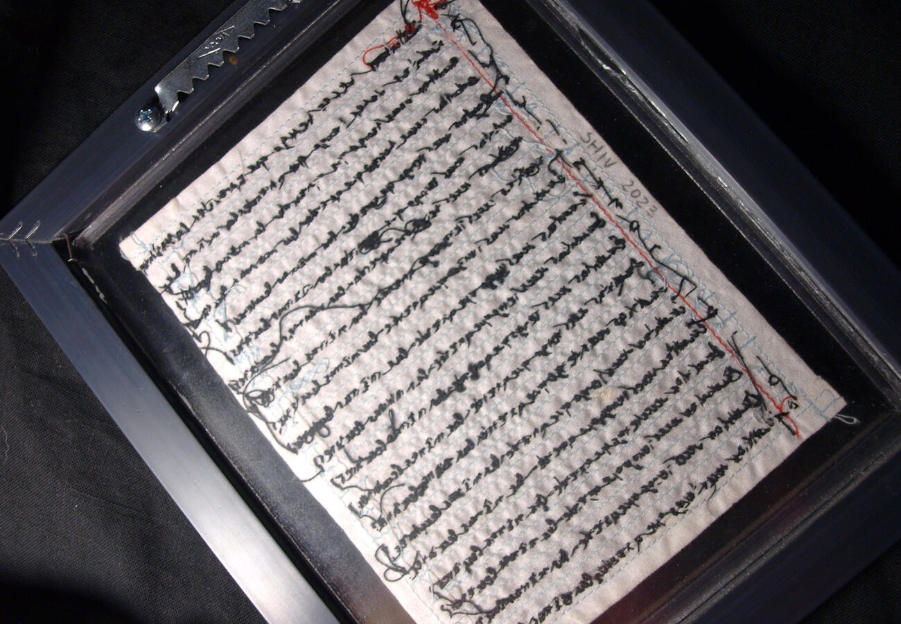 FOLIO 1: DOMESTICACIÓN, 2023. Bordado sobre tela reclamada, hilo mercerizado de algodón tipo mouliné marca DMC.