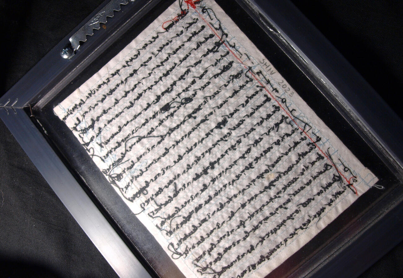 FOLIO 1: DOMESTICACIÓN, 2023. Bordado sobre tela reclamada, hilo mercerizado de algodón tipo mouliné marca DMC.