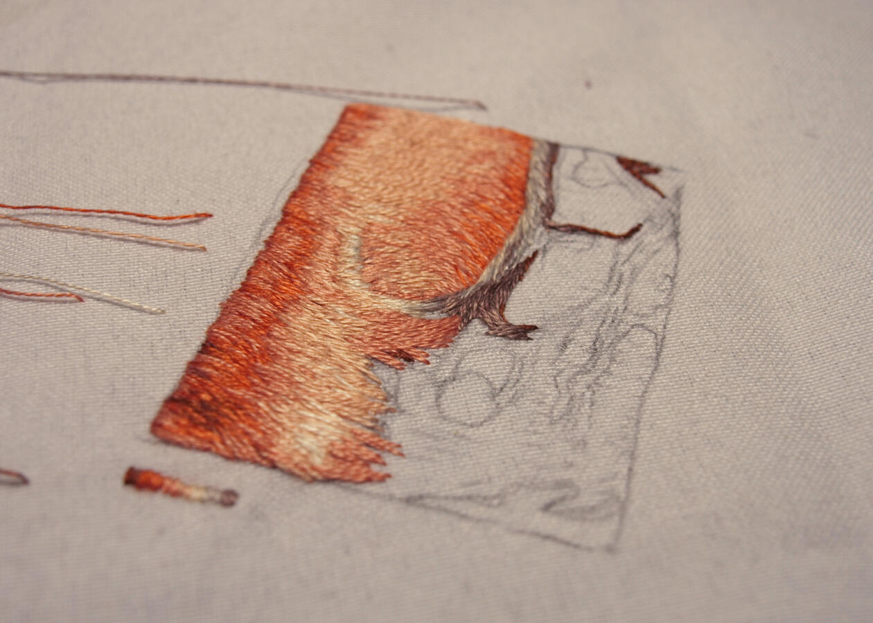 Ejercicio de bordado realista, 2020. Bordado sobre lino sansón, hilo mercerizado de algodón tipo mouliné marca DMC.