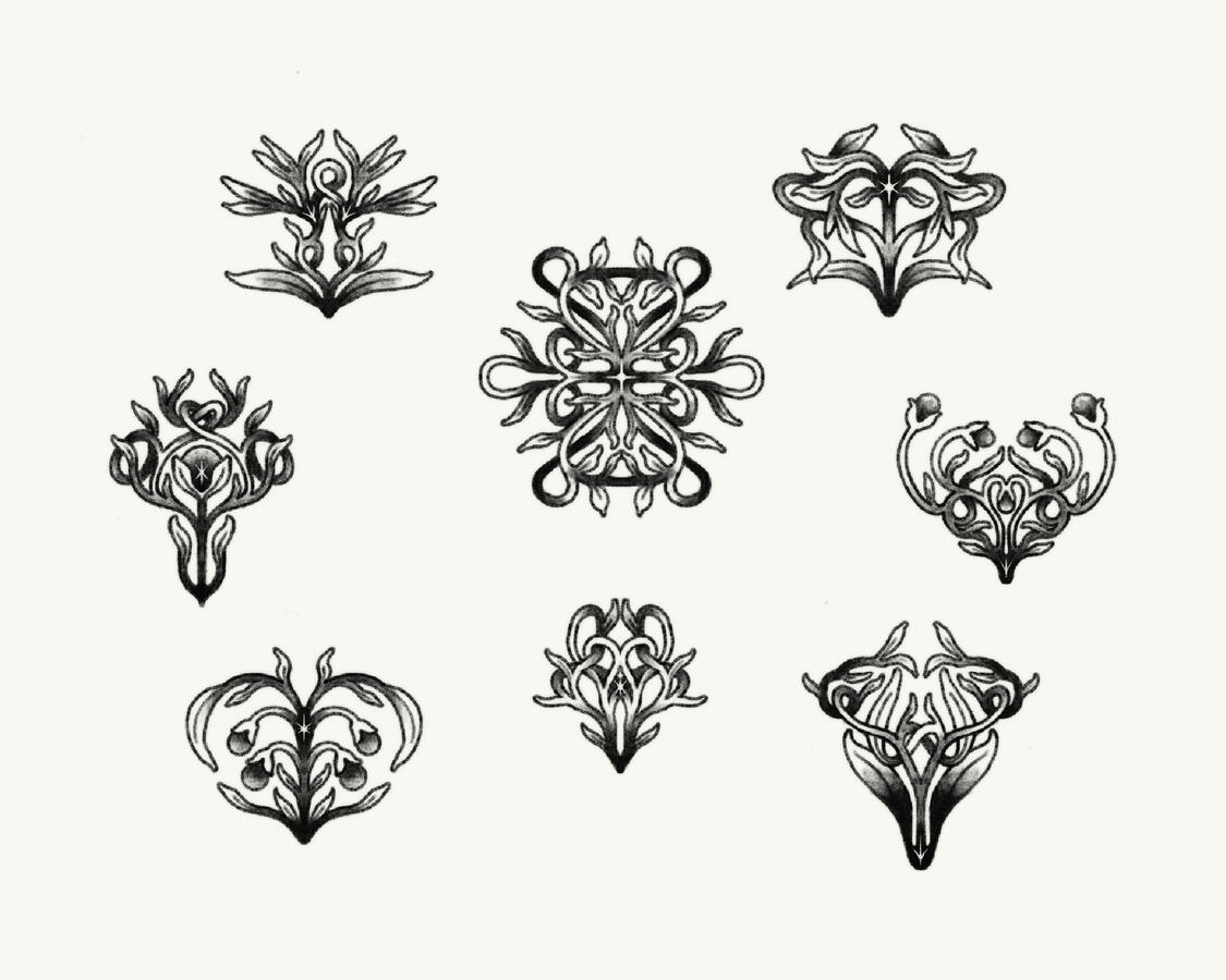 Diseños de flash (2024)